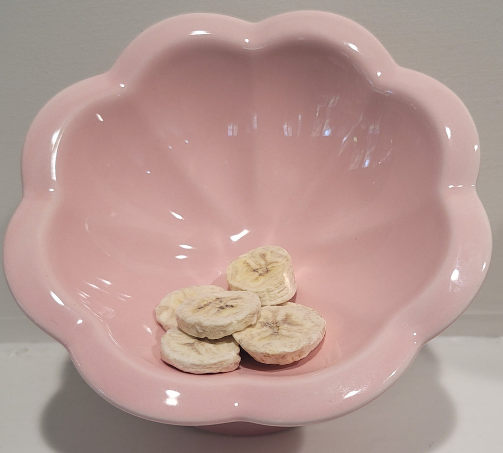 Canine Candy - Freeze Dried Banana Chips