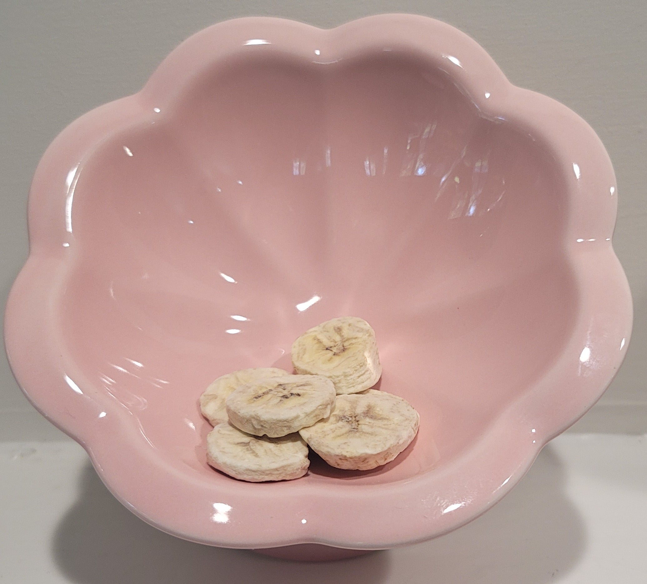 Canine Candy - Freeze Dried Banana Chips
